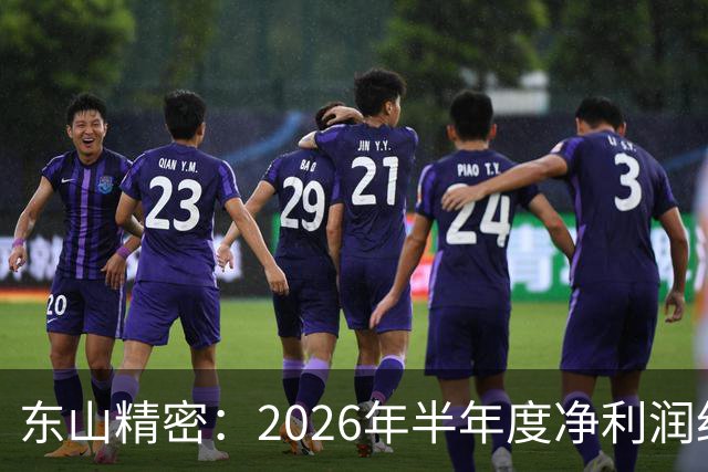 东山精密：2026年半年度净利润约29.57亿元，同比增加290.09%